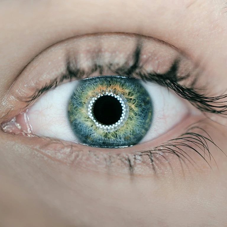 Comment choisir le meilleur logiciel pour la gestion de maintenance assistée par ordinateur (GMAO) en industrie