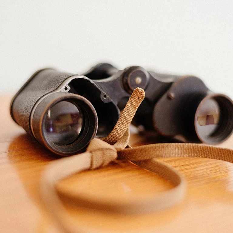 Quel logiciel choisir pour le suivi des indicateurs HQE et BREEAM ?