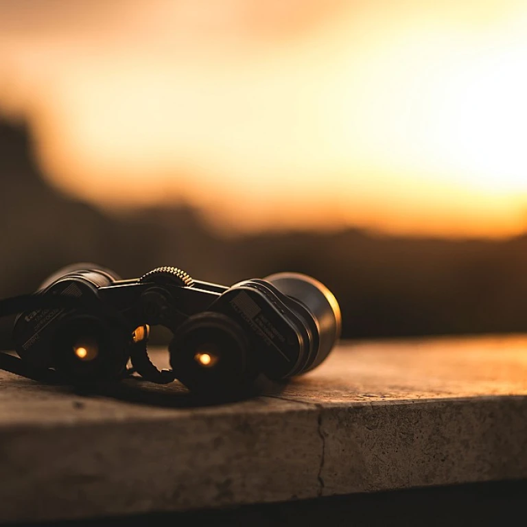 Choisir le bon logiciel pour optimiser la coordination des équipes techniques